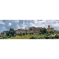  Brunello di Montalcino