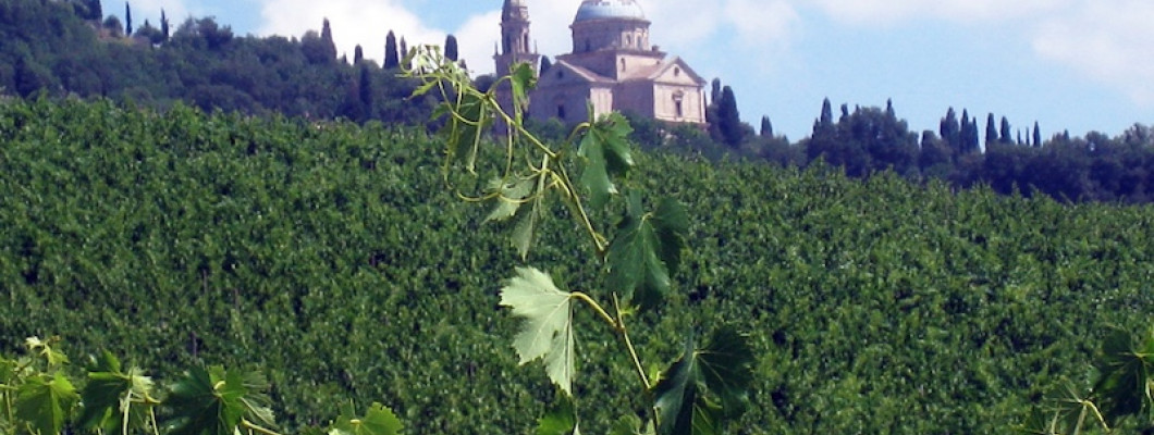 Le Bertille Winery
