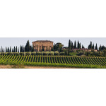 Argiano