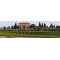 Argiano